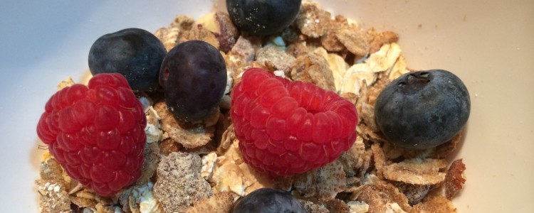 1-Muesli-desayuno-750×300